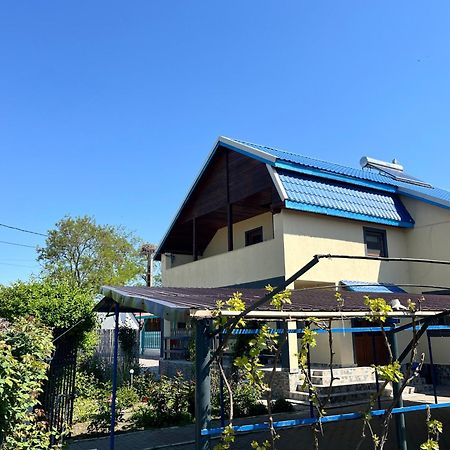 Partizanii Casa Marconeゲストハウス エクステリア 写真
