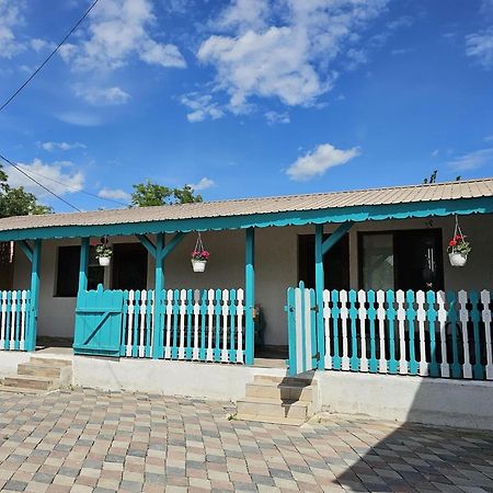 Partizanii Casa Marconeゲストハウス エクステリア 写真