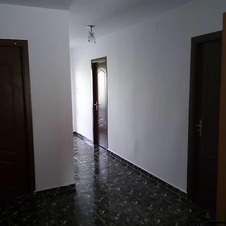 Partizanii Casa Marconeゲストハウス エクステリア 写真