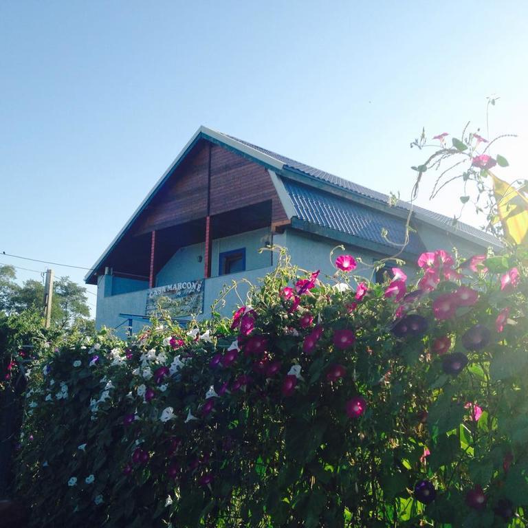 Partizanii Casa Marconeゲストハウス エクステリア 写真
